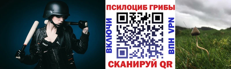 наркошоп  Михайловск  Галлюциногенные грибы Cubensis 